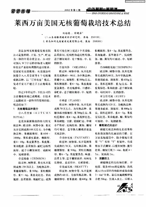 莱西万亩美国无核葡萄栽培技术总结