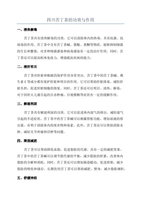 四川苦丁茶的功效与作用