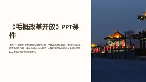 《毛概改革开放》课件