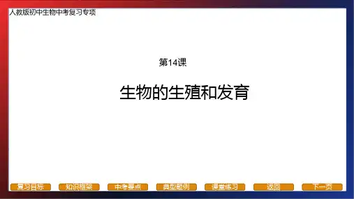 专题14+生物的生殖和发育-备战2023年中考生物复习必备精品课件