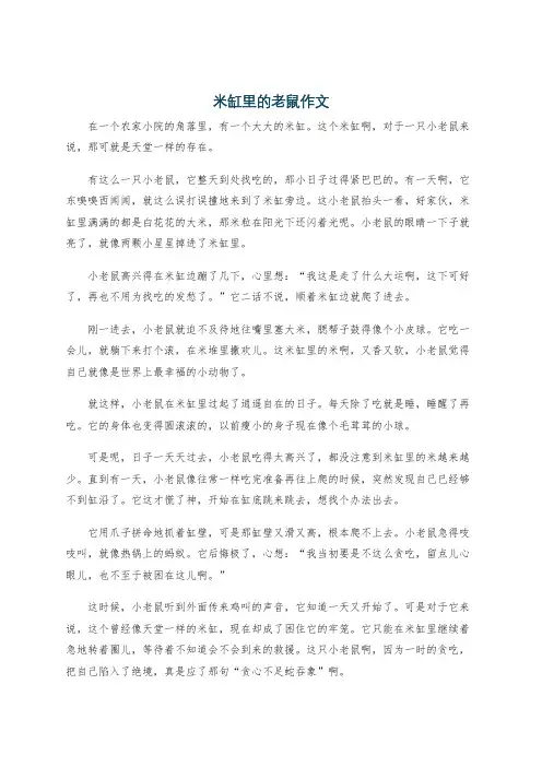 米缸里的老鼠作文