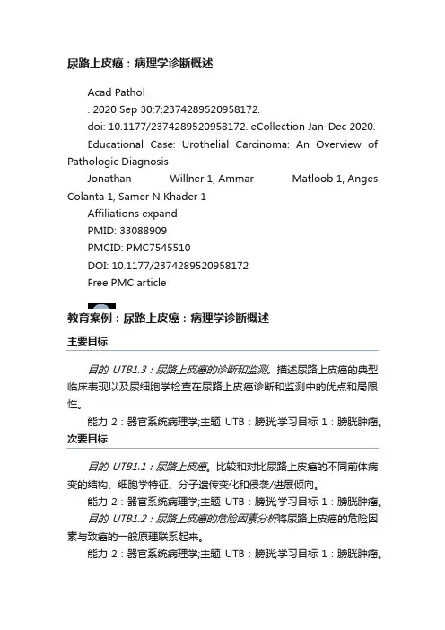 尿路上皮癌：病理学诊断概述