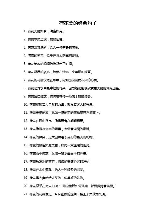 荷花美的经典句子