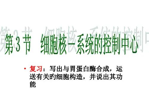 高中生物必修一细胞核市公开课获奖课件省名师示范课获奖课件