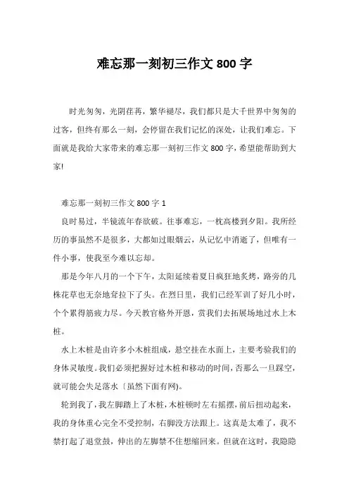(初三作文)难忘那一刻初三作文800字