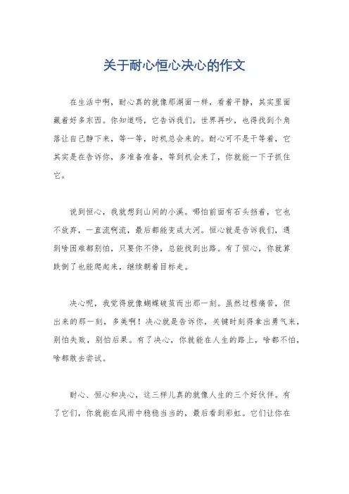 关于耐心恒心决心的作文