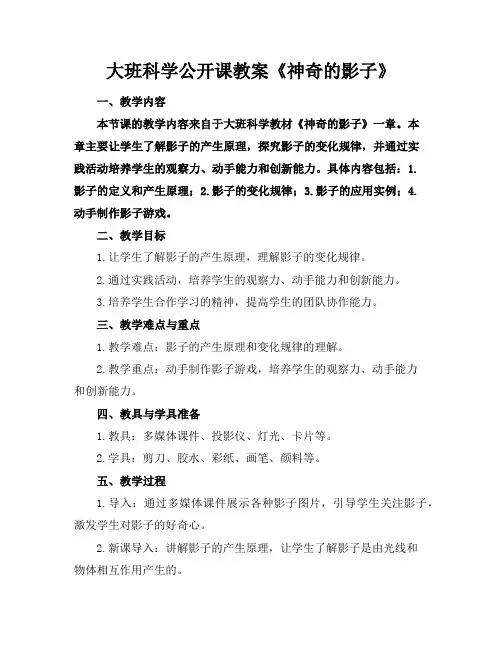 大班科学公开课教案《神奇的影子》
