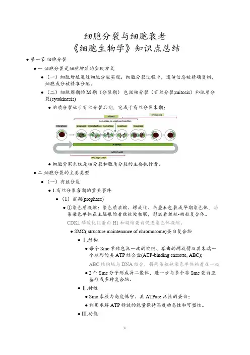 细胞分裂与细胞衰老《细胞生物学》知识点总结