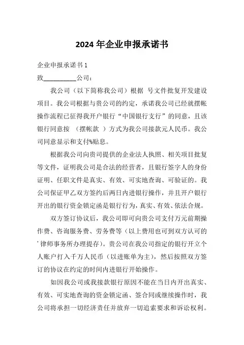 2024年企业申报承诺书