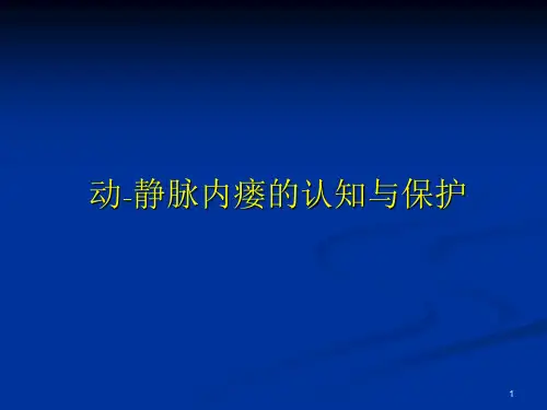 内瘘PPT参考课件