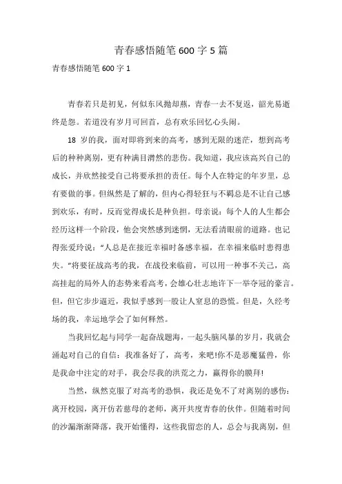 青春感悟随笔600字5篇