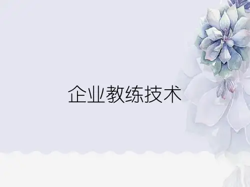 企业教练技术
