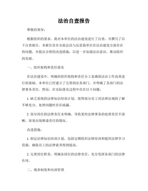 法治自查报告
