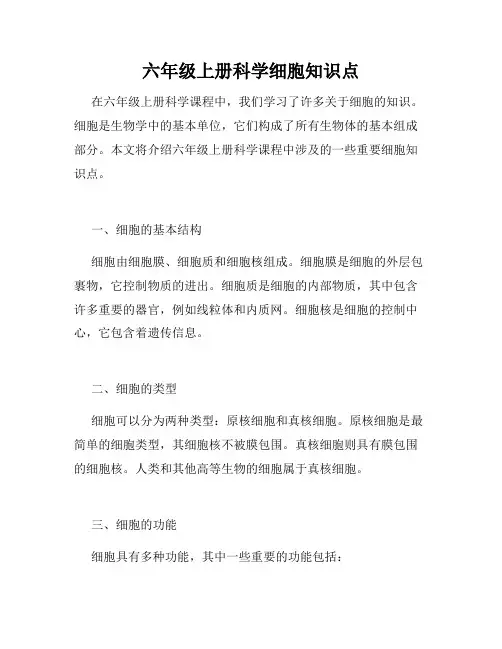 六年级上册科学细胞知识点