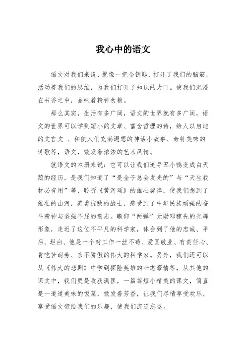 初中优秀记叙文作文：我心中的语文_7