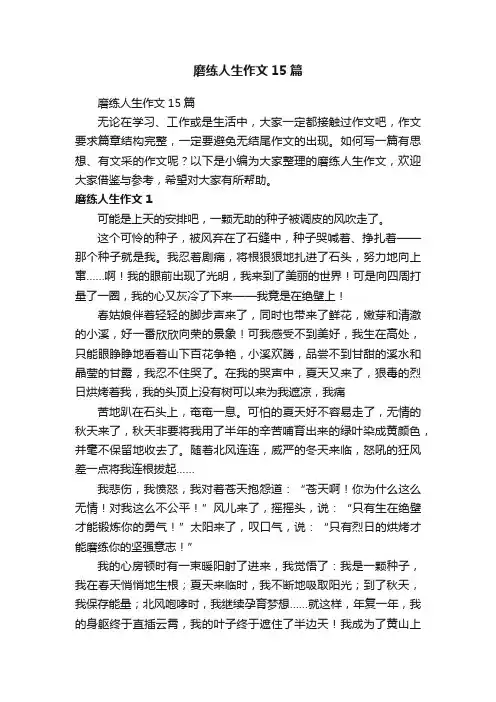 磨练人生作文15篇