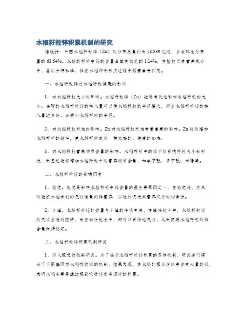 水稻籽粒锌积累机制的研究