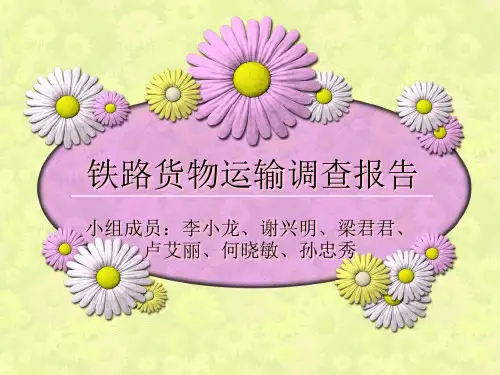 铁路货物运输调查报告资料
