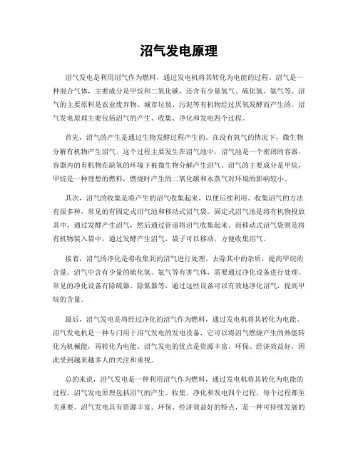 沼气发电原理
