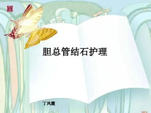 《胆总管结石》ppt课件