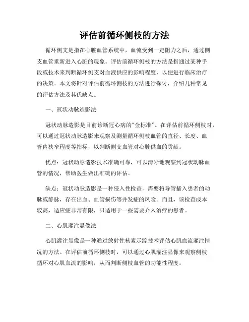 评估前循环侧枝的方法