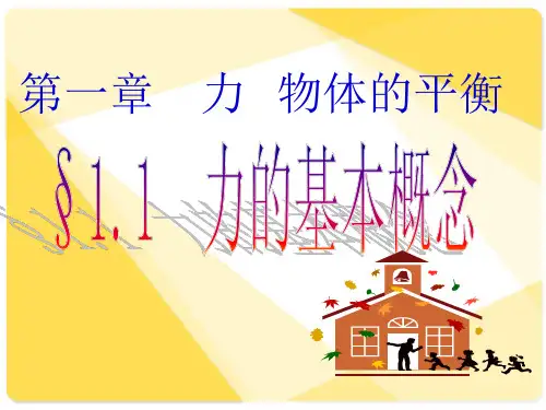 新人教版物理课件：力和物体的平衡01力的基本概念