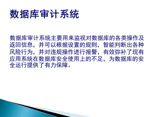 数据库审计防统方堡垒主机34页PPT