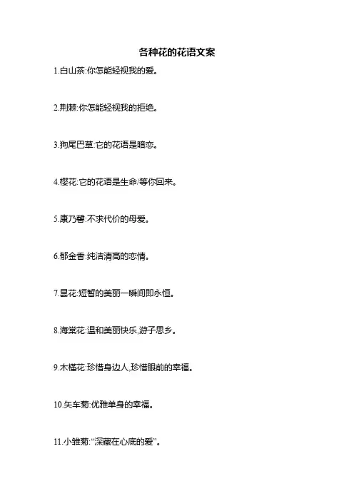 各种花的花语文案