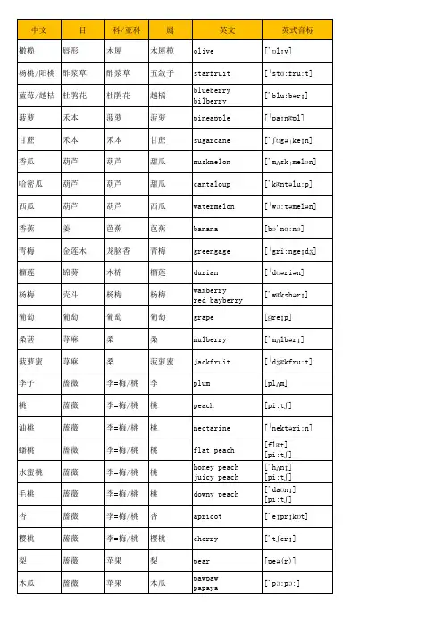 52种常见水果中英文及图片