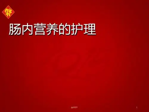 肠内营养护理  ppt课件