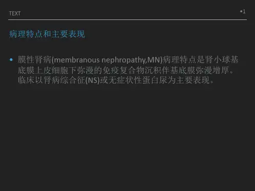 膜性肾病课件