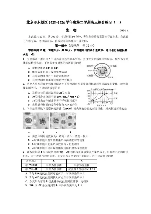 北京市东城区2023-2024学年高三下学期综合练习(一)试题
