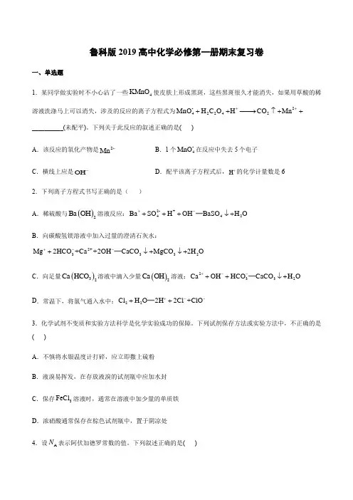 鲁科版2019高中化学必修第一册期末复习卷(附答案)