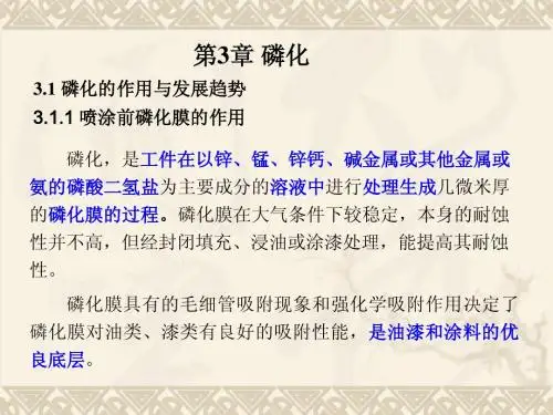 第3章  磷化