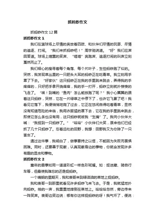抓蚂蚱作文12篇