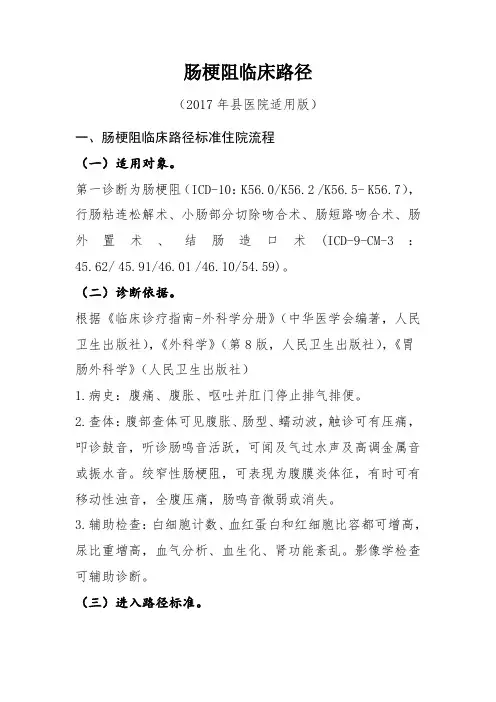 肠梗阻(县医院适用版)
