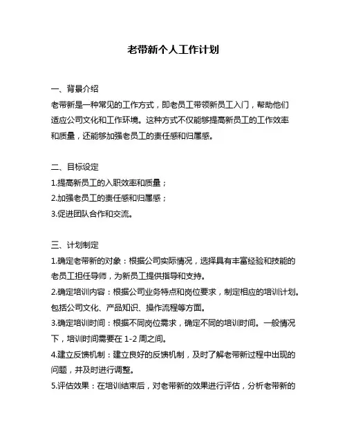 老带新个人工作计划