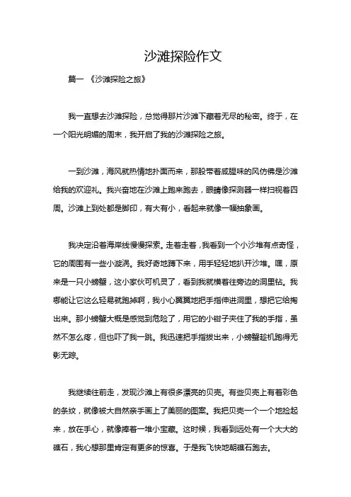 沙滩探险作文