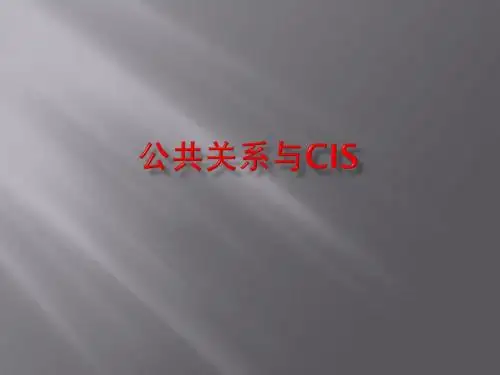 CIS 战略