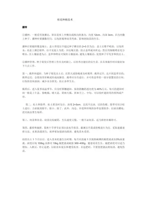 樱花种植技术
