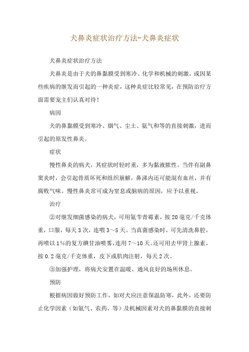 犬鼻炎症状治疗方法-犬鼻炎症状