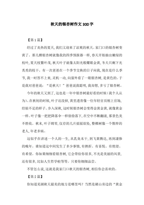 秋天的银杏树作文300字