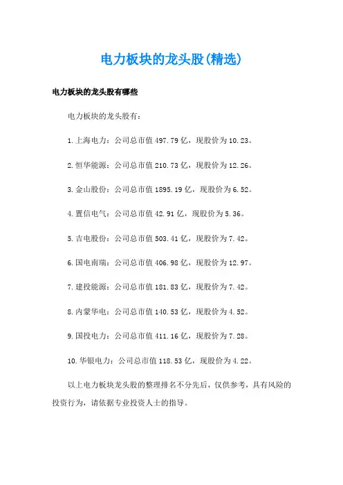 电力板块的龙头股(精选)