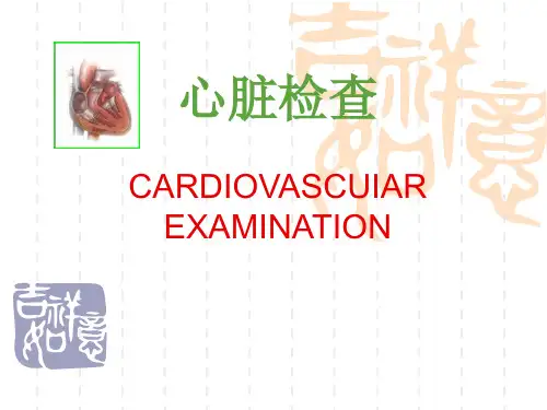 心脏体格检查