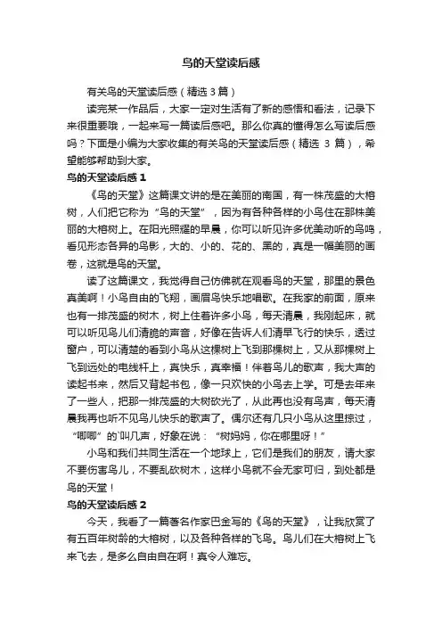 鸟的天堂读后感