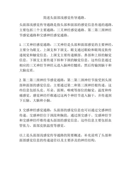 简述头面部浅感觉传导通路。