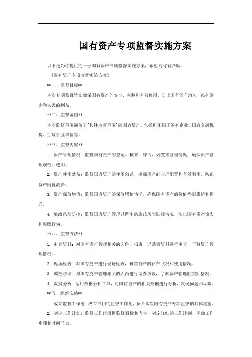 国有资产专项监督实施方案