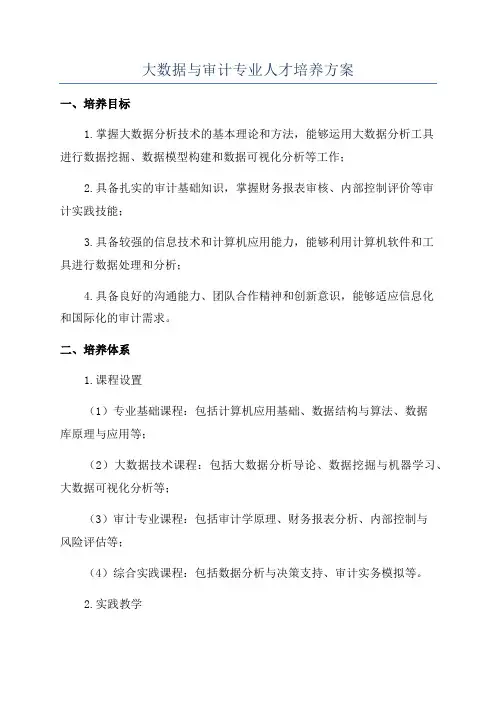 大数据与审计专业人才培养方案
