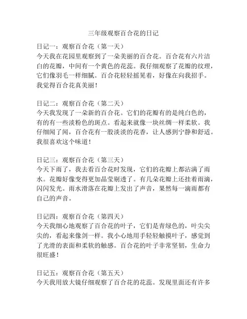 三年级观察百合花的日记