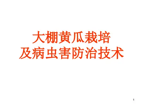大棚黄瓜栽培及病虫害防治技术PPT课件